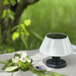 ACK Solar Led Bahçe Armatürü Çift Yönlü  Siyah Gövde 3000K Ip65 Ø153Mmx135Mm AG60-30801