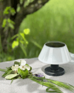 ACK Solar Led Bahçe Armatürü Çift Yönlü  Siyah Gövde 3000K Ip65 Ø153Mmx135Mm AG60-30801