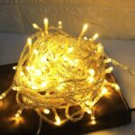 ACK 10Mt 100Led Rgb 220V Lüks Serı Yeşil Kablo Eklenebılır Led AS90-01109