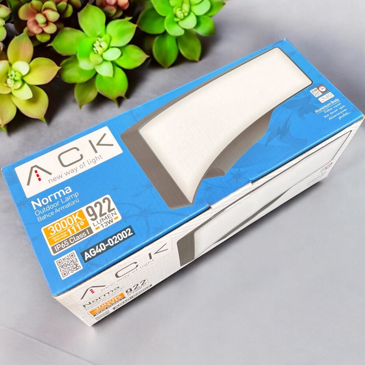 Ack AG40-02002 3000K Günışığı 13W Siyah Kasa Bahçe Duvar Apliği - Görsel 2